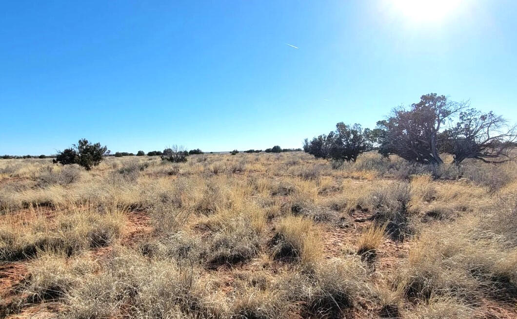 4317 Pinto Rd, Snowflake, AZ 85937