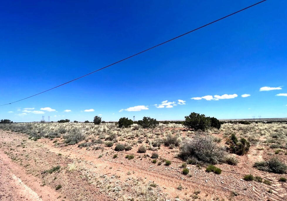 4317 Pinto Rd, Snowflake, AZ 85937