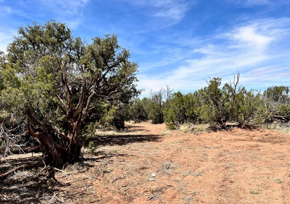 4317 Pinto Rd, Snowflake, AZ 85937