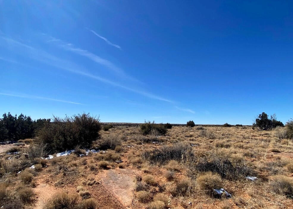 4317 Pinto Rd, Snowflake, AZ 85937