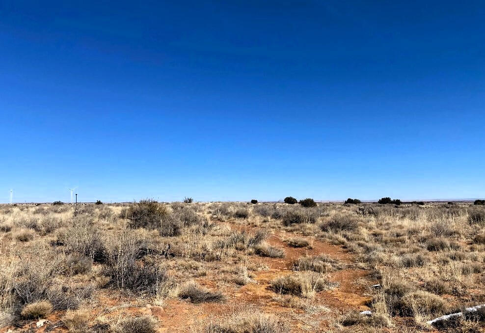 4317 Pinto Rd, Snowflake, AZ 85937